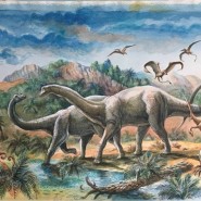 Фото: darwinmuseum.ru