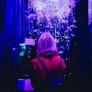 Иммерсивная мультимедиа выставка «SENSE. Почувствуй стихии» фотографии