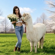 Международный женский день в Альпака Парке Сокольники 2026 фотографии