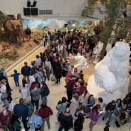 Фото: vk.com/darwinmuseum