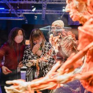 Выставка «BODY WORLDS. Мир тела» фотографии