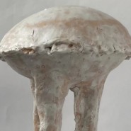 Фото: darwinmuseum.ru