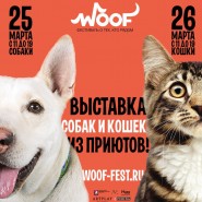 Фестиваль «Woof Fest» 2017 фотографии