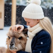 23 февраля в Альпака Парке Сокольники 2026 фотографии