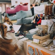 Фестиваль «WOOF» 2019 фотографии
