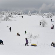 Выставка победителей конкурса фотожурналистики имени Андрея Стенина 2019 фотографии