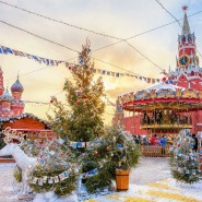 Новогодняя обзорная экскурсия по Москве фотографии