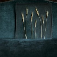Фото: darwinmuseum.ru