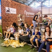 Фестиваль Четыре Лапы 2024 фотографии