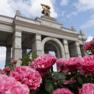 Фото: пресс-служба ВДНХ