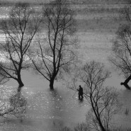 Фото: trubnaya.vzmoscow.ru