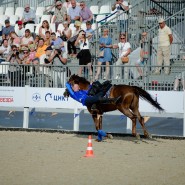 Чемпионат мира по джигитовке на ВДНХ 2023 фотографии