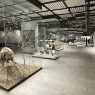 Государственный Дарвиновский музей фотографии