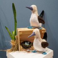 Фото: darwinmuseum.ru