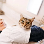 Фото: fund4dogs.ru