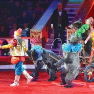 Цирковая программа «Монте-Карло — Москва» 2018 фотографии