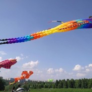 XIV Фестиваль воздушных змеев «Пестрое небо» фотографии