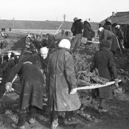 Выставка «Женщины в войне» фотографии