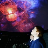 Выставка «Звезды в ладонях» фотографии