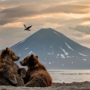 Фото: fotocult.ru