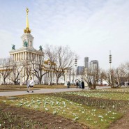 Фото: О. Сосницкого. Mos.ru