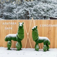 Международный женский день в Альпака Парке Сокольники 2026 фотографии