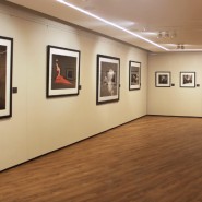 Выставка «Высокий полет Мелвина Соколски» фотографии