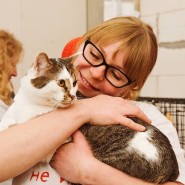 Фестиваль «Котики, которые любят» 2024 фотографии