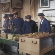 Выставка «Уберите чучело лося. К 100-летию краеведения» фотографии