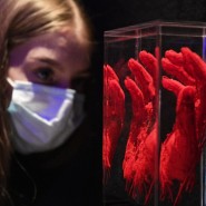 Выставка «BODY WORLDS. Мир тела» фотографии