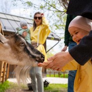 Фото: vdnh.ru