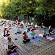 Фото: yogavparkah.ru