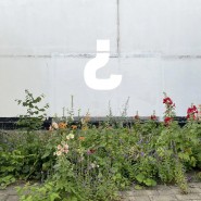 Выставка «Полезное разрушение» фотографии