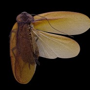 Выставка «Застывшая форма» фотографии