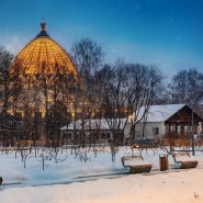 Зимние экскурсии по ВДНХ 2021 фотографии