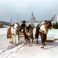 Онлайн-программа ВДНХ на новогодних каникулах 2021 фотографии