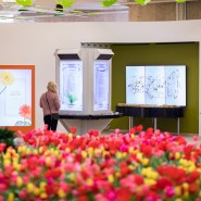 Фестиваль «ЦВЕТИ!» 2023 фотографии