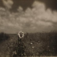 Выставка «Фотограф Николай Андреев. Мастер пикториализма» фотографии