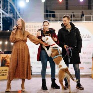 Фото: fund4dogs.ru