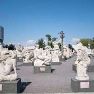 Проект «Sport and Art» 2022 фотографии