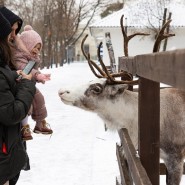 Семейный фестиваль «День открытых планов» 2021 фотографии