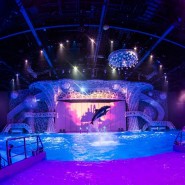 Фото: vdnh.ru