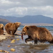 Выставка «Белая книга» фотографии