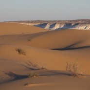 Выставка «Древний и загадочный Мангыстау» фотографии