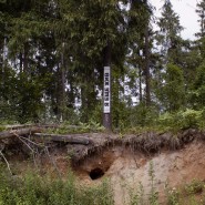 Выставка «— Что это? — Времянка» фотографии