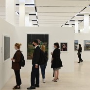 Выставка «Глаза, как блюдца» фотографии