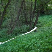 Выставка «Современная природа» из цикла «Неформальные встречи» фотографии