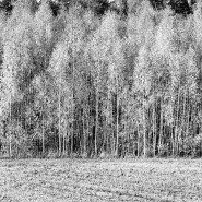 Выставка «Portfolio #2» фотографии