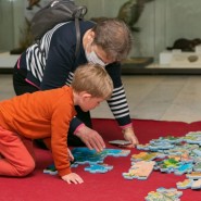 Фото: darwinmuseum.ru