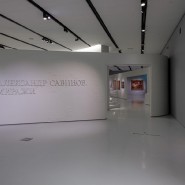 Выставка «Миражи. Саратовская школа» фотографии